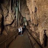 Cutta Cutta Caves
