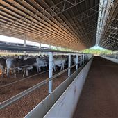 Berrimah Export Yards