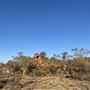 Ooraminna Homestead