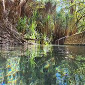 Katherine Hot Springs