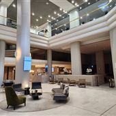 Hilton Darwin