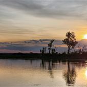 Corroboree Billabong