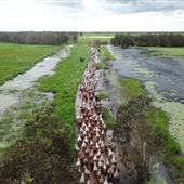 Finniss River Station
