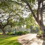 George Brown Botanical Gardens