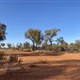 Ooraminna Homestead