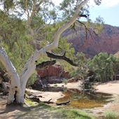Ormiston Gorge