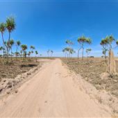 West Alligator Floodplains
