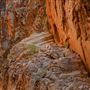 Standley Chasm