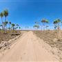 West Alligator Floodplains