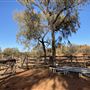 Ooraminna Homestead