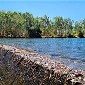 Donkey Camp Weir