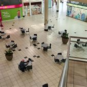 Alice Plaza