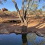 Ooraminna Homestead