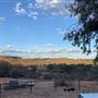 Ooraminna Homestead
