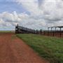 Tipperary Stations