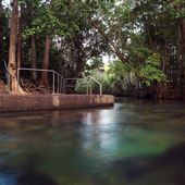 Berry Springs Waterhole