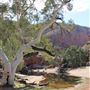 Ormiston Gorge