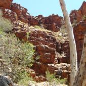 John Hayes Rockhole