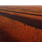 Simpson Desert