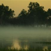 Yellow Waters