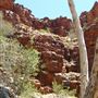 John Hayes Rockhole
