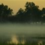 Yellow Waters