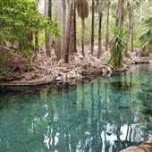 Mataranka Hot Springs