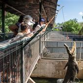 Crocodylus Park