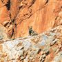 Standley Chasm