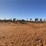 Ooraminna Homestead