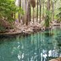 Mataranka Hot Springs