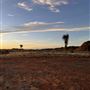 Ooraminna Homestead