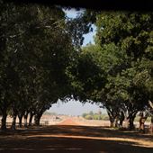 Charles Darwin University - Katherine Campus