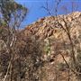 Standley Chasm