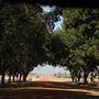 Charles Darwin University - Katherine Campus