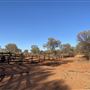 Ooraminna Homestead