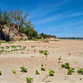 Dripstone Cliffs