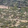 Finke Gorge National Park