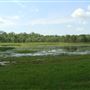 Djukbinj National Park