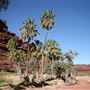 Finke Gorge National Park