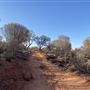 Ooraminna Homestead