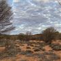 Ooraminna Homestead