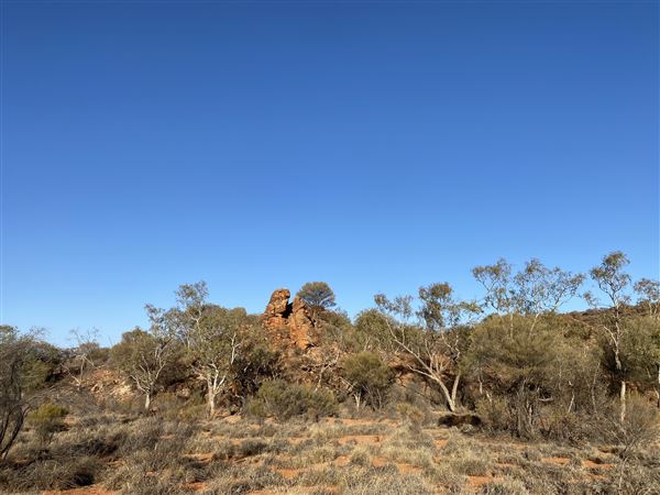 Ooraminna Homestead (9/14/2020 - Credits: Melanie McClure)
