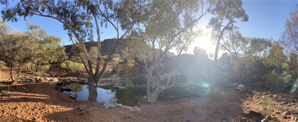 Ooraminna Homestead (9/14/2020 - Credits: Melanie McClure)