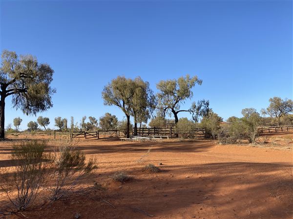 Ooraminna Homestead (9/14/2020 - Credits: Melanie McClure)