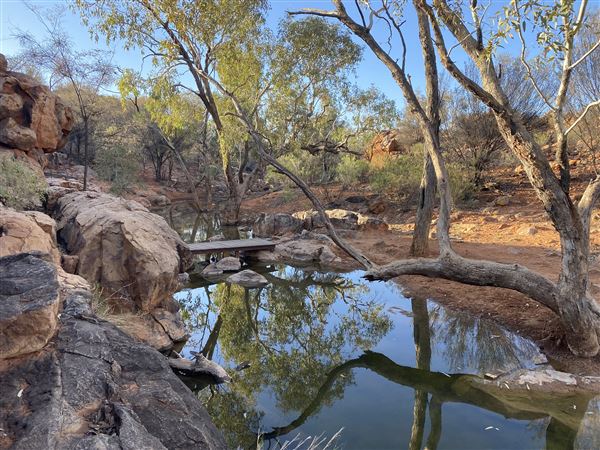 Ooraminna Homestead (9/14/2020 - Credits: Melanie McClure)