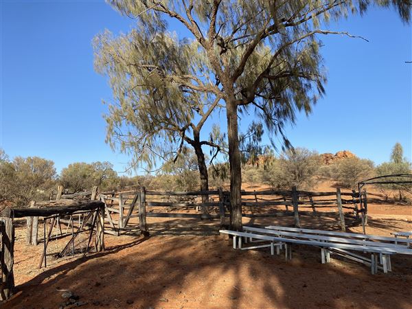 Ooraminna Homestead (9/14/2020 - Credits: Melanie McClure)