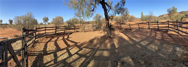 Ooraminna Homestead (9/14/2020 - Credits: Melanie McClure)