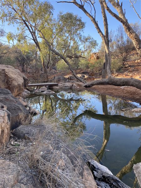 Ooraminna Homestead (9/14/2020 - Credits: Melanie McClure)