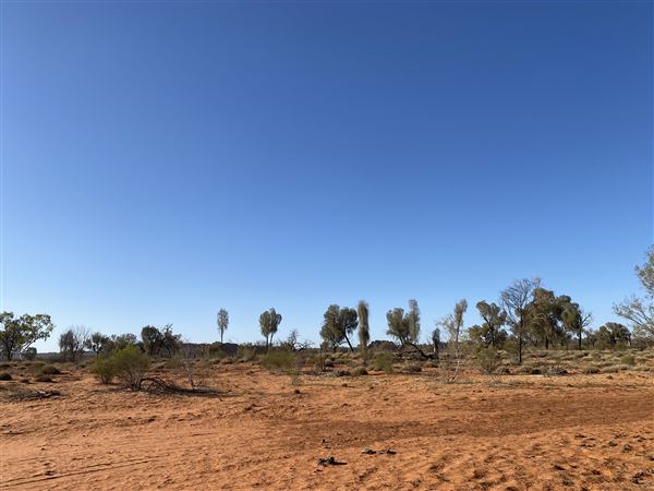 Ooraminna Homestead (9/14/2020 - Credits: Melanie McClure)